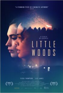 دانلود فیلم Little Woods 201822292-1938052816