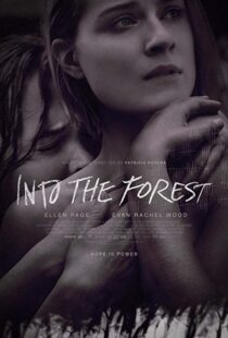 دانلود فیلم Into the Forest 20159776-1756625661