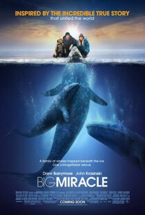 دانلود فیلم Big Miracle 201218814-2108950701