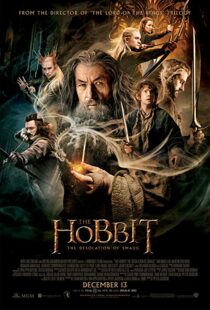 دانلود فیلم The Hobbit: The Desolation of Smaug 2013196262-90004171