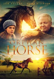 دانلود فیلم Orphan Horse 20188125-2072210636