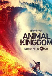دانلود سریال Animal Kingdom18326-288230689