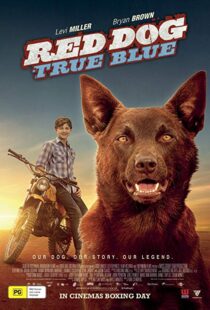 دانلود فیلم Red Dog: True Blue 20168899-802123844