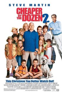 دانلود فیلم Cheaper by the Dozen 2 200534536-1482316559