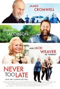 دانلود فیلم Never Too Late 202055190-729204160