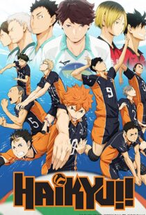 دانلود انیمه Haikyu!!80601-1874487774