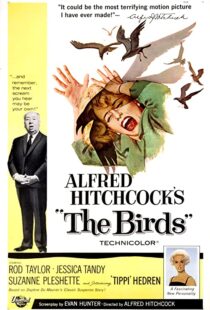 دانلود فیلم The Birds 196382372-1587558934