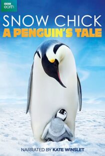 دانلود مستند Snow Chick: A Penguin’s Tale 2015109604-587731559