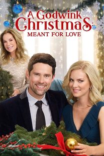 دانلود فیلم A Godwink Christmas: Meant for Love 201931842-955883832