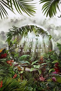 دانلود مستند The Green Planet232029-54381461