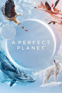 دانلود مستند A Perfect Planet231098-1678427499