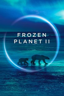 دانلود مستند Frozen Planet II268784-707794591