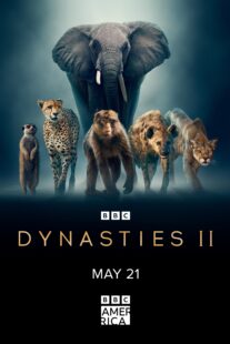 دانلود سریال Dynasties370061-909110715