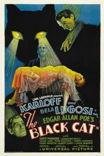 دانلود فیلم The Black Cat 1934378235-698012800