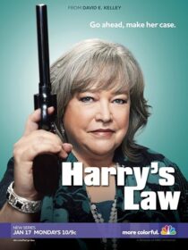 دانلود سریال Harry’s Law393952-1545601810