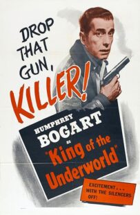 دانلود فیلم King of the Underworld 1939399475-1055335416