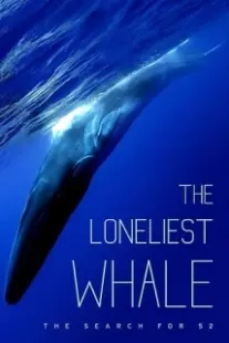 دانلود فیلم The Loneliest Whale: The Search for 52 2021403098-1775169842