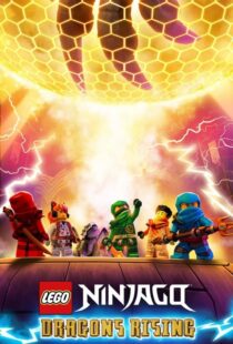 دانلود انیمیشن Ninjago: Dragons Rising402689-1209434162