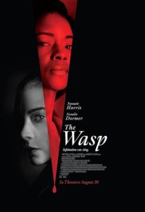 دانلود فیلم The Wasp 2024411027-1972043426