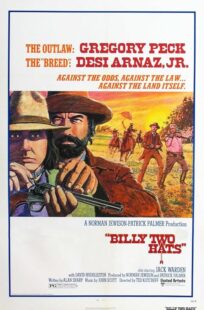 دانلود فیلم Billy Two Hats 1974411057-70932741