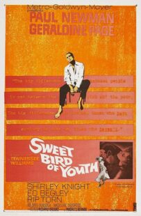 دانلود فیلم Sweet Bird of Youth 1962415738-1270098043