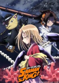 دانلود انیمه Shaman King422246-223130998