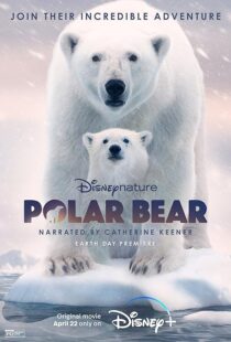 دانلود مستند Polar Bear 2022422974-2042794998