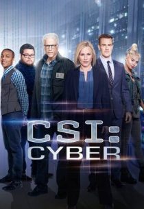 دانلود سریال CSI: Cyber428329-1869476974