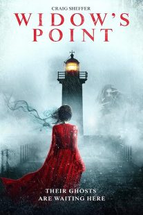 دانلود فیلم Widow’s Point 2019428433-1641680999