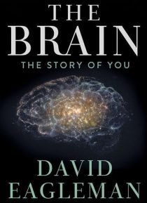 دانلود سریال The Brain with Dr. David Eagleman428613-794919685