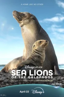 دانلود مستند Sea Lions of the Galapagos 2025431056-188063897